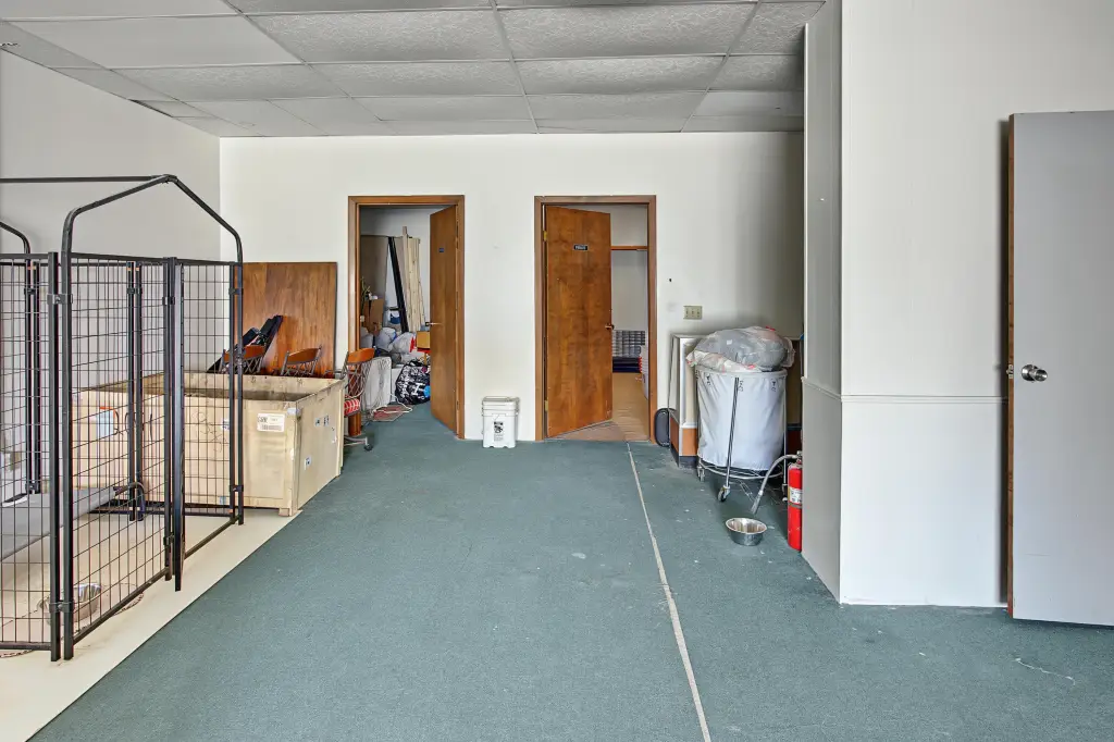 Picture 11