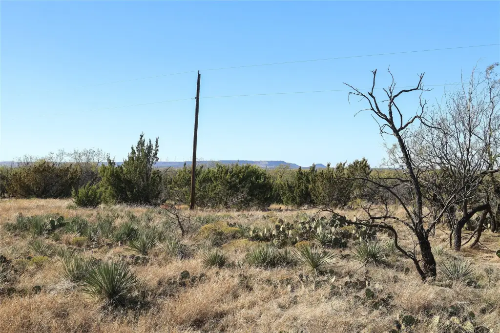 Picture 9