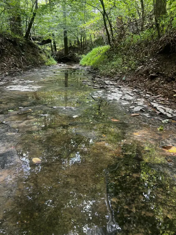Picture 17