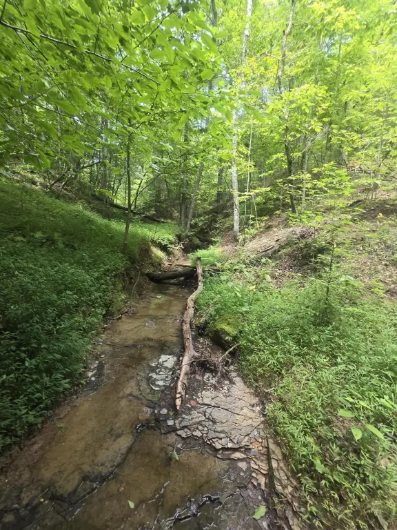 Picture 15