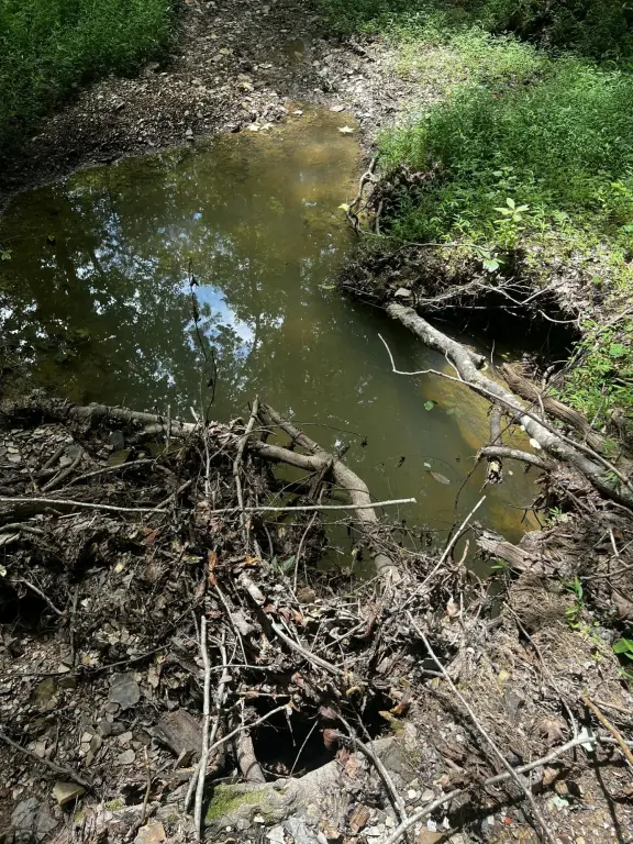 Picture 13