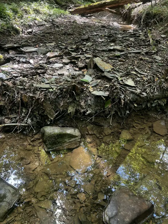 Picture 4