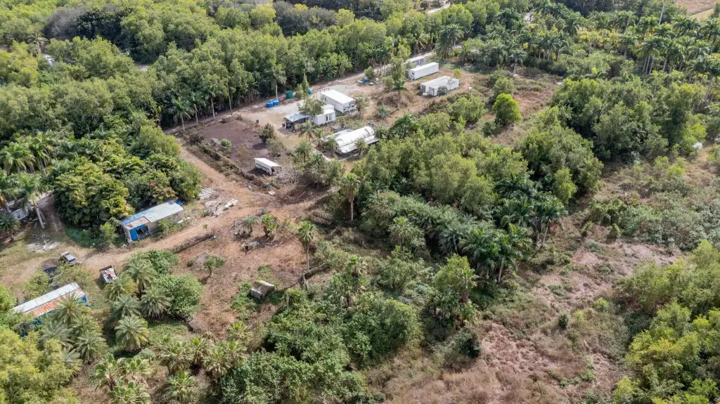 Picture 8