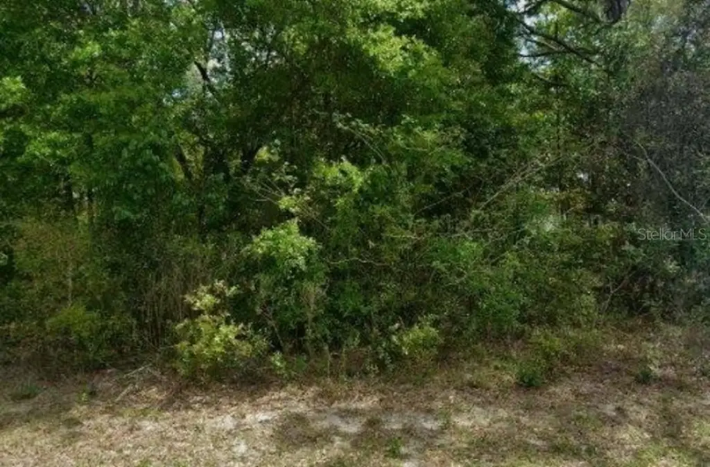 Picture 2