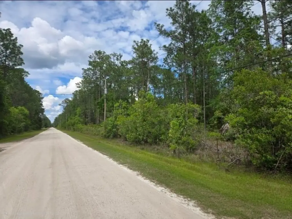 Picture 4