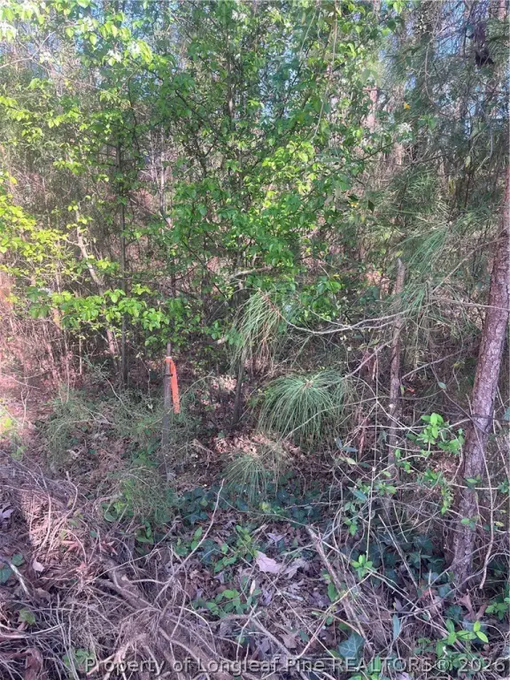 Picture 21