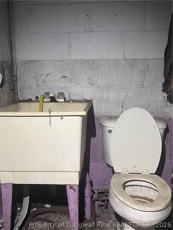 Picture 11