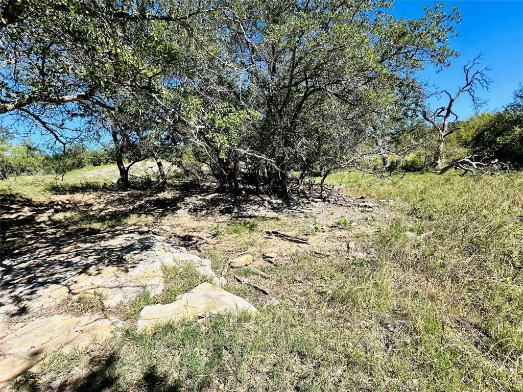 Picture 32