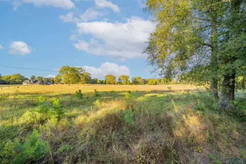 Hallsville Acreage Homesite Opportunity