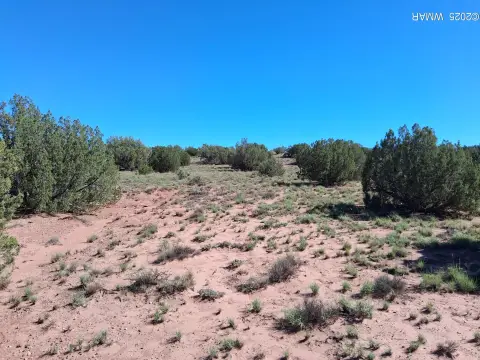 Concho, AZ Land Opportunity