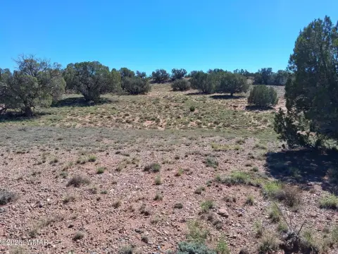 Land in Concho, Arizona