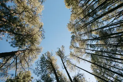 Pinedale Estates Double Lot