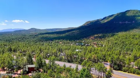 Land in Gated Pine Community