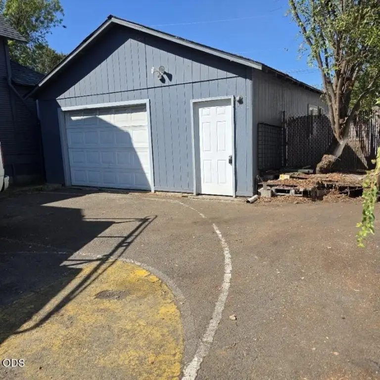 Picture 25