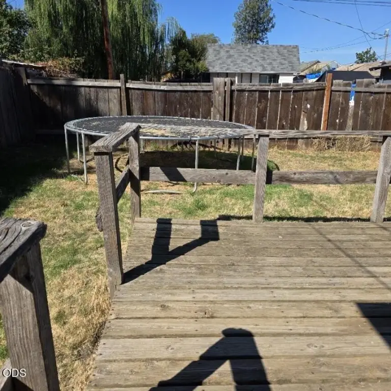 Picture 23