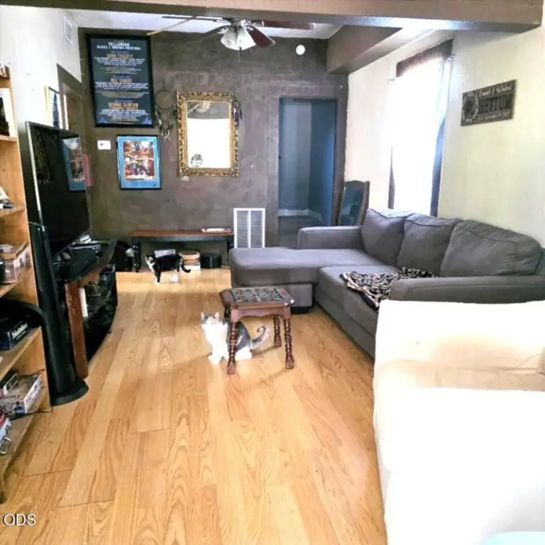 Picture 3
