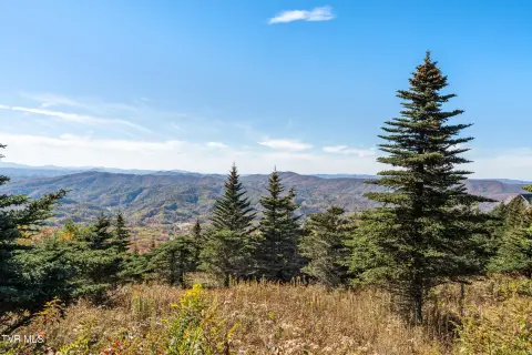 Land with Mountain Views