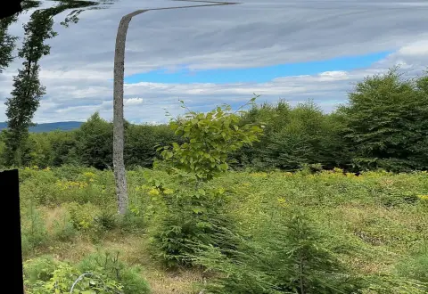 Wooded Homesite in Cornish, Maine