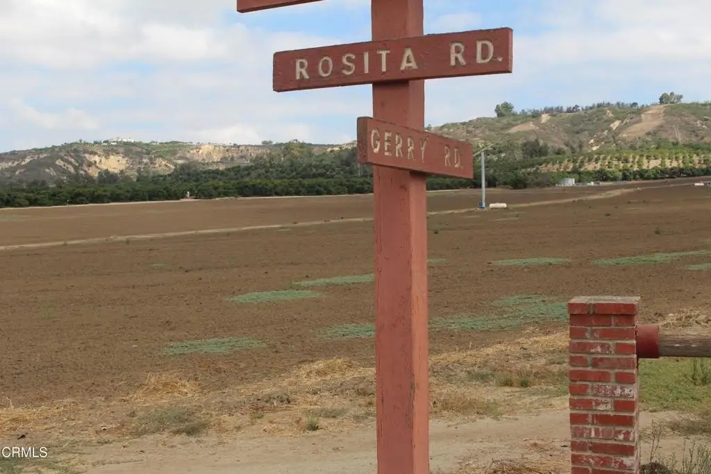 Picture 23