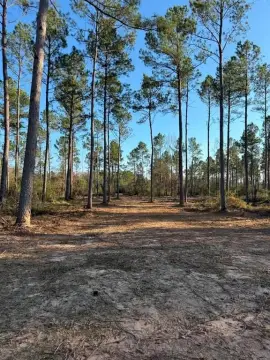 10 Acres of Unimproved Land