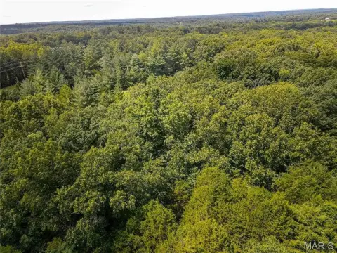 Undeveloped Land in Robertsville, MO