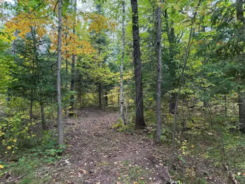 Wooded Hunting Land