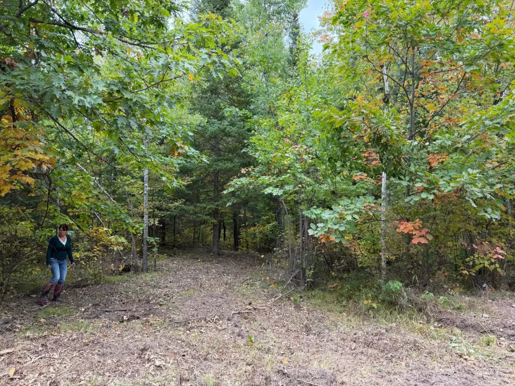 Picture 2