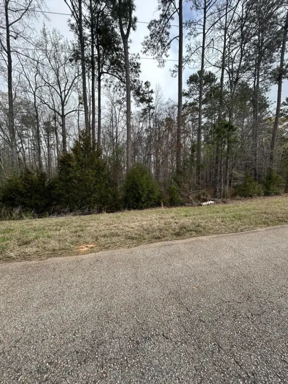 Picture 2