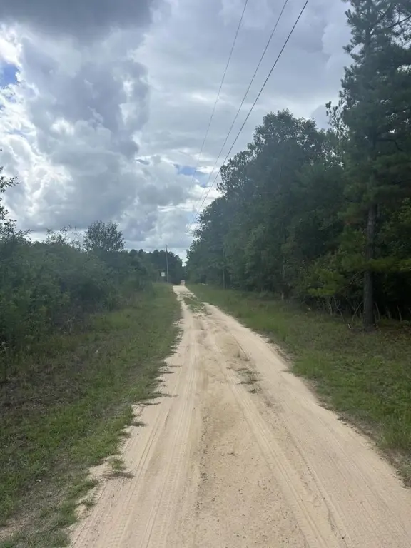 Picture 6