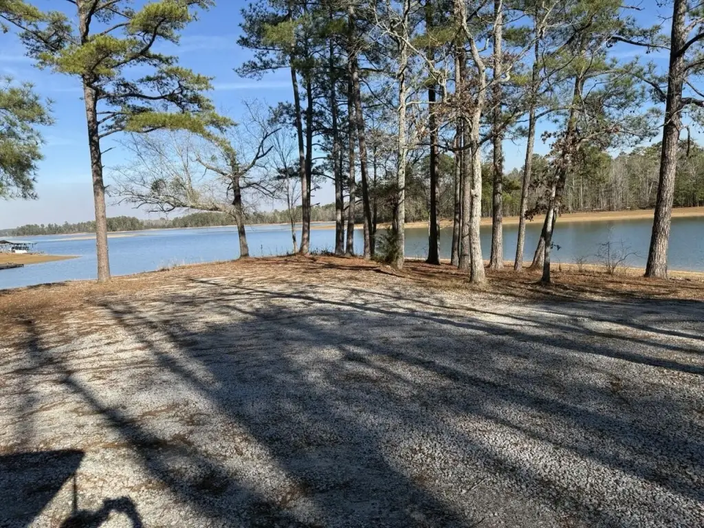 Picture 10