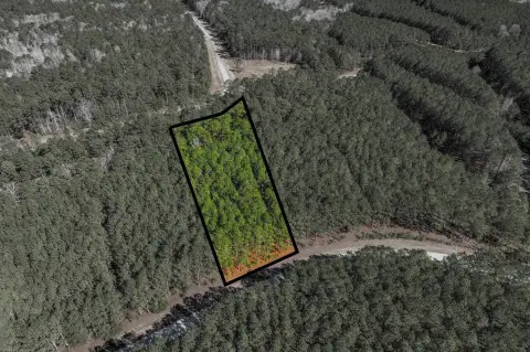 Land in Lake Neighborhood
