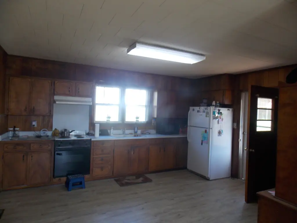 Picture 15