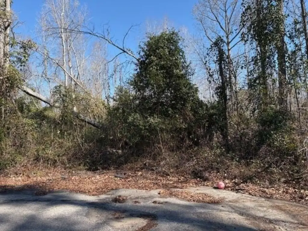 Picture 2