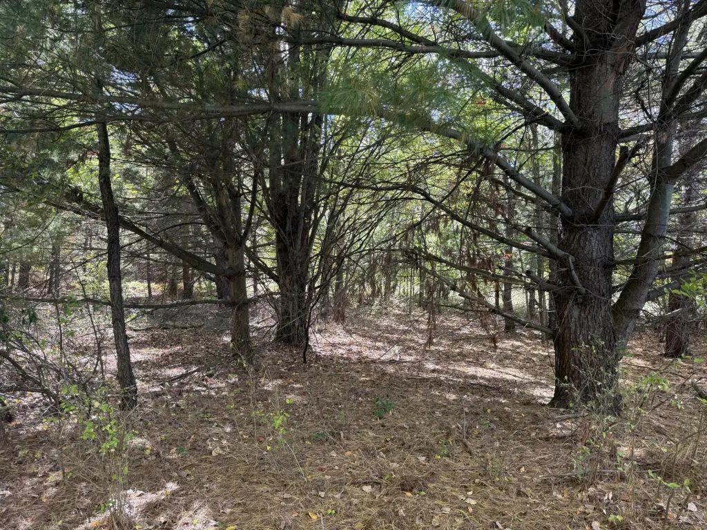Picture 6