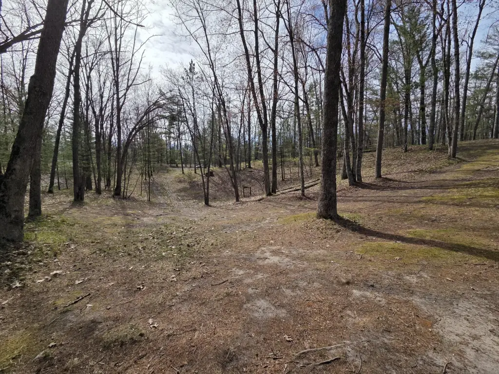 Picture 4