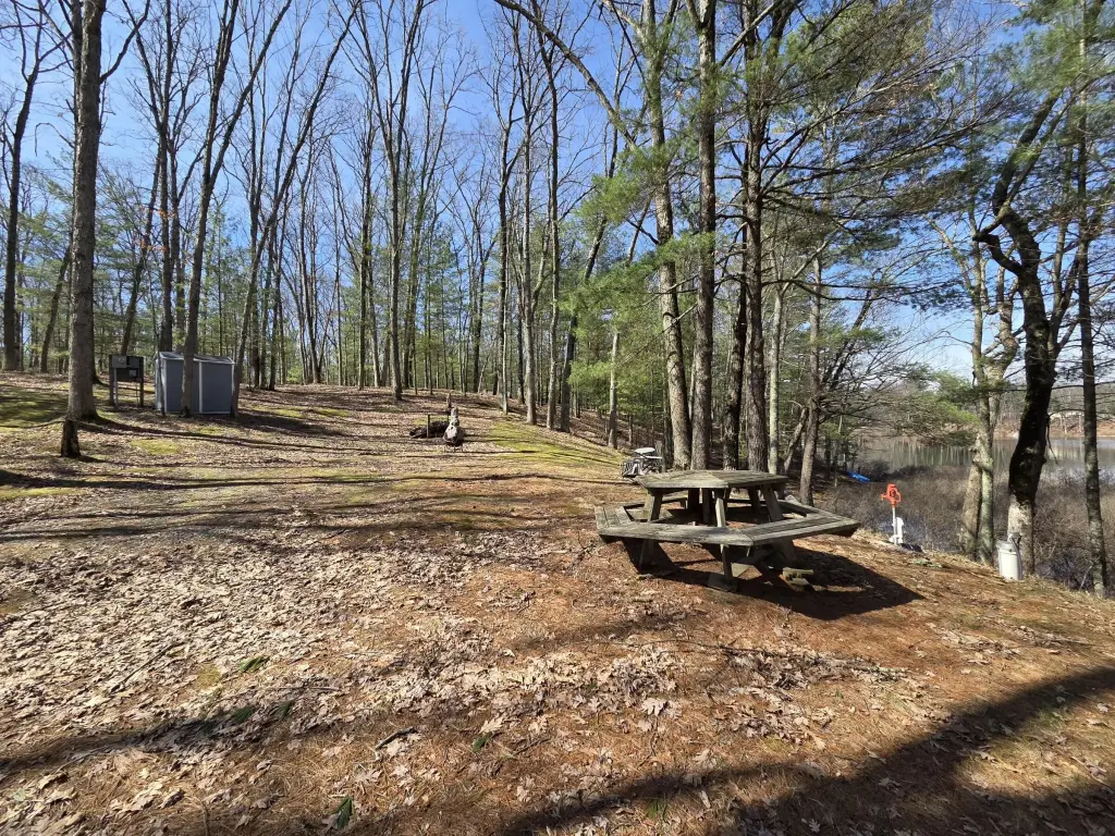 Picture 14