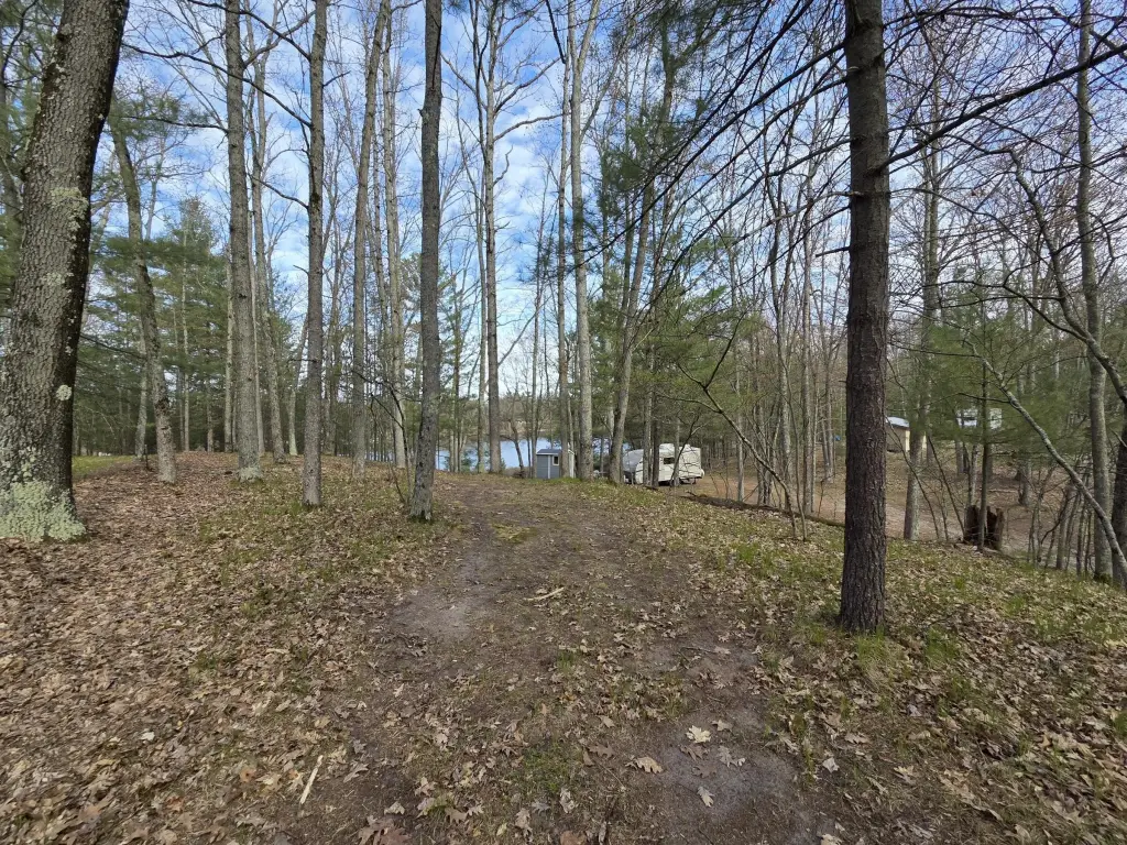 Picture 21