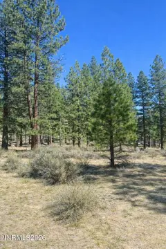 Generous Homesite in Clear Creek Tahoe