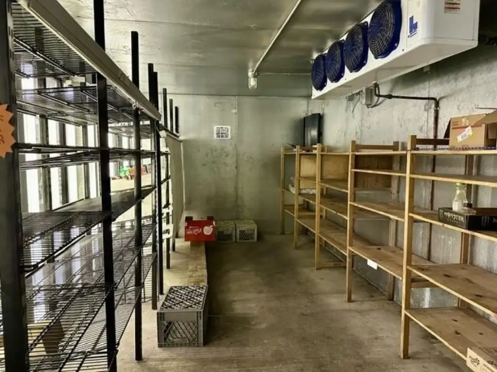 Picture 6