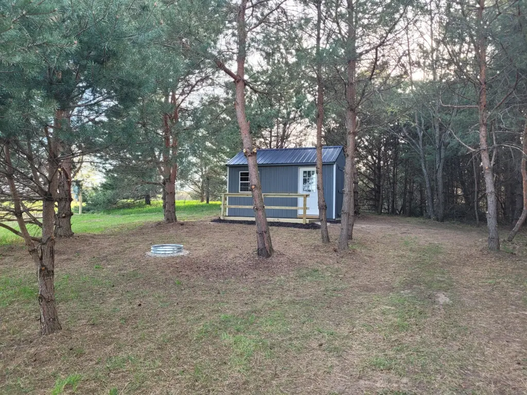 Picture 6