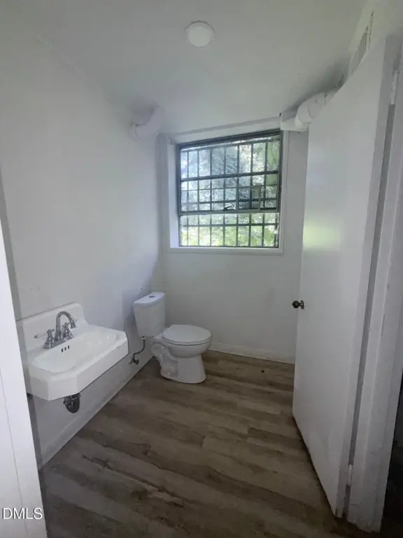 Picture 18