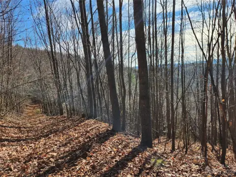 Unrestricted Wooded Acres with Views