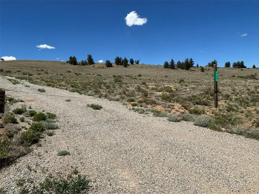 Picture 19