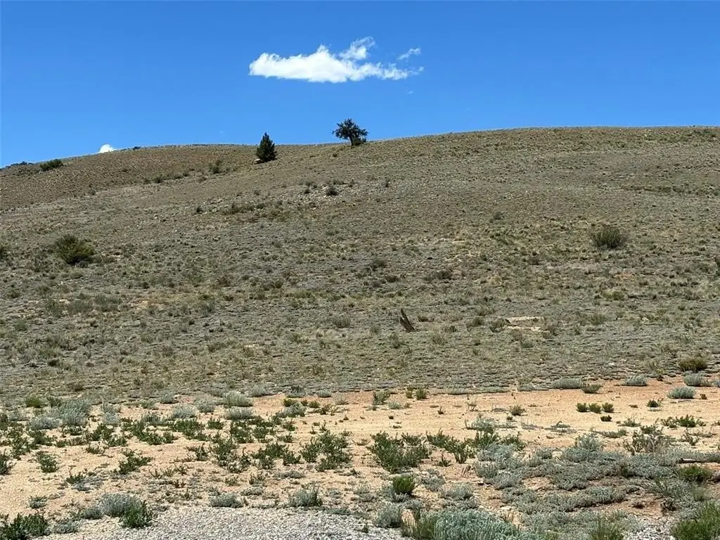 Picture 23