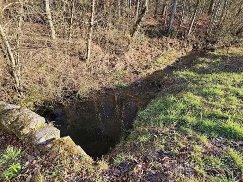 Land with Creek Frontage