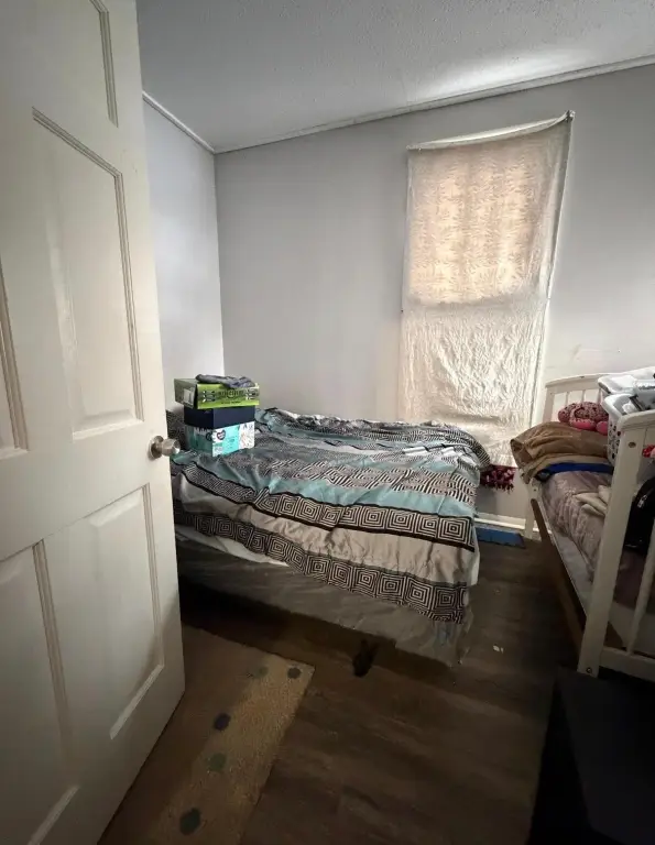 Picture 11