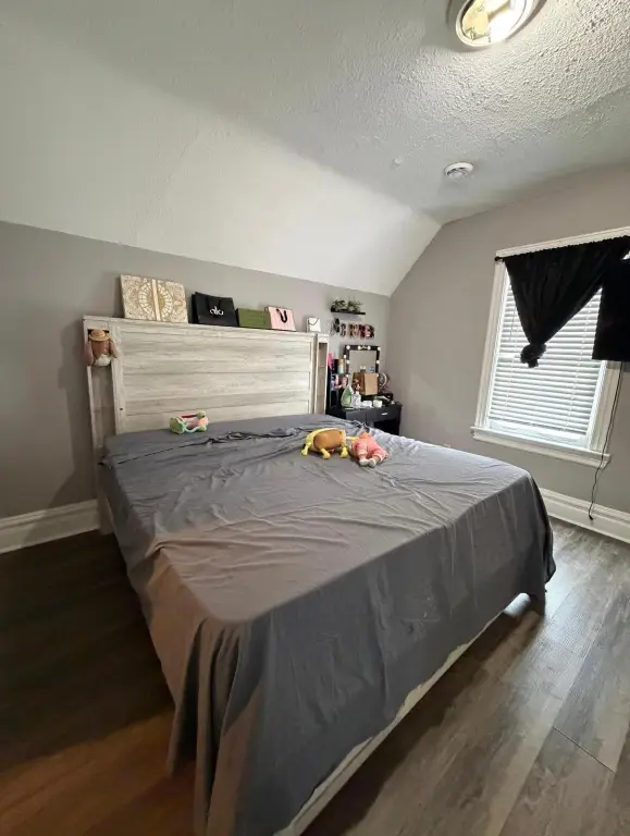 Picture 5