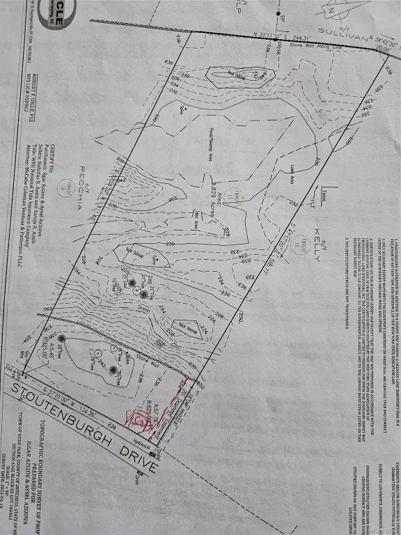 Picture 11