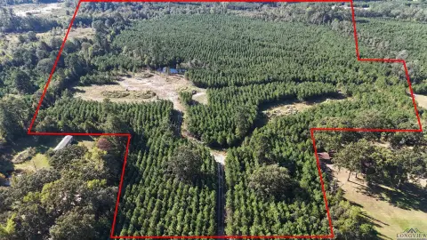 East Texas Land Near Lake