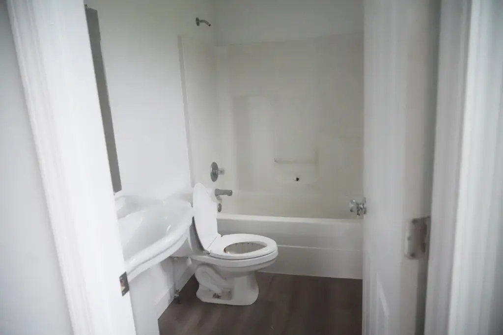 Picture 8